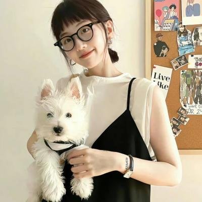 娱乐插班生粤语封面